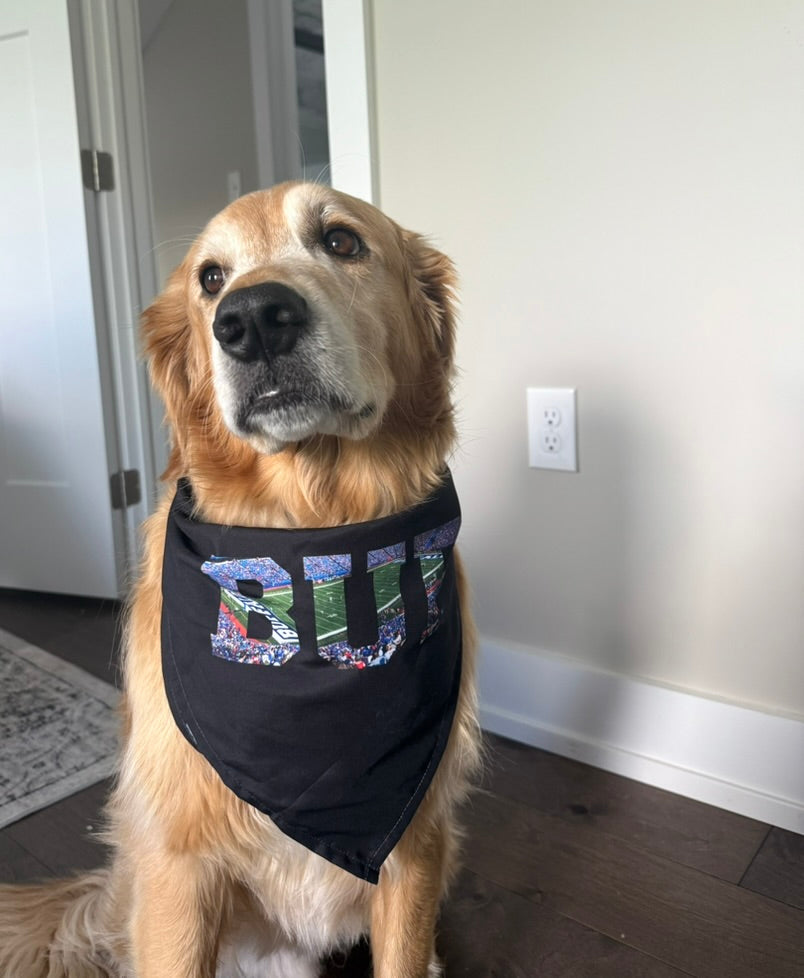 VFTR Black Pup Bandana