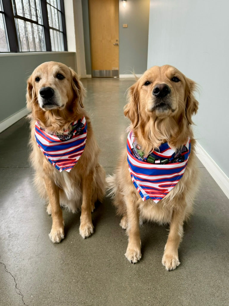 VFTR Buffalo Royalty Pup Bandana