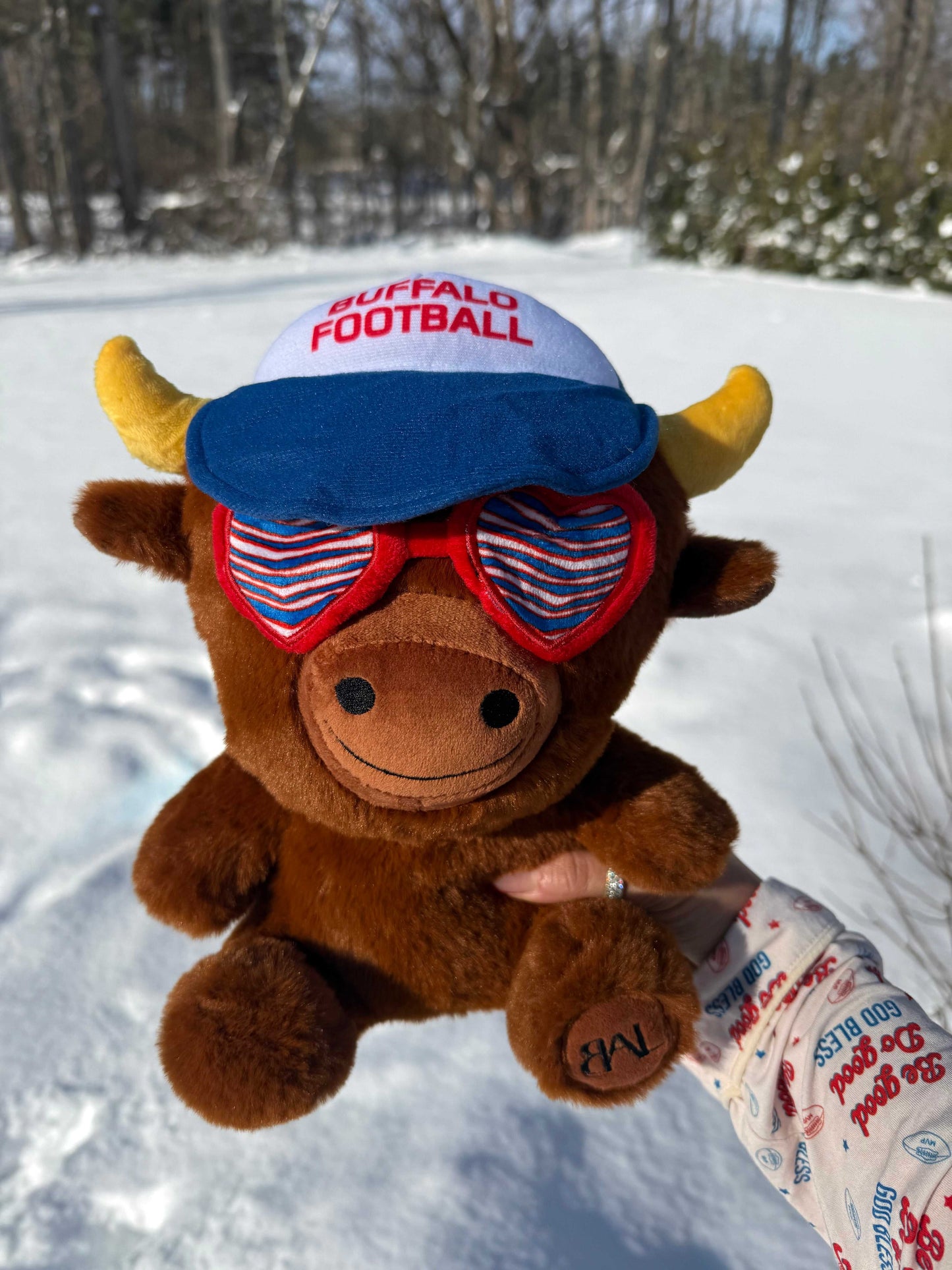 buffalo plush teddy displayed outdoors in snow Buffalo themed gift