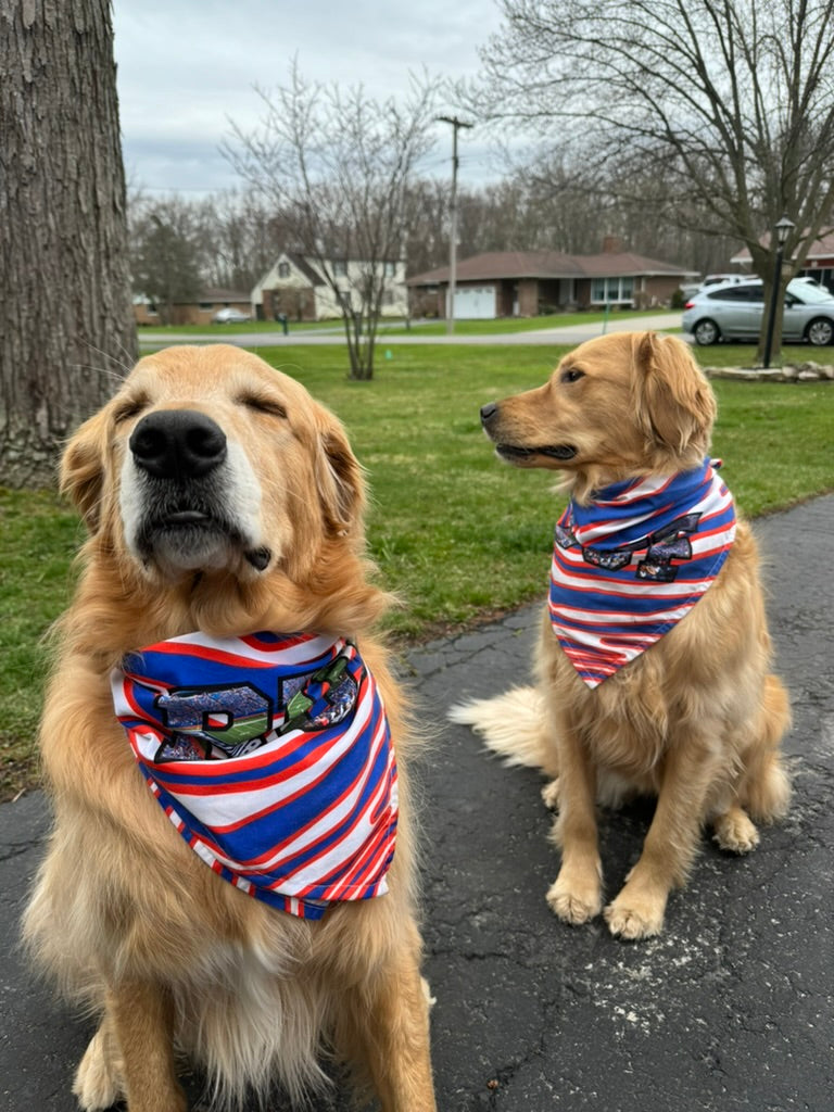 VFTR Buffalo Royalty Pup Bandana