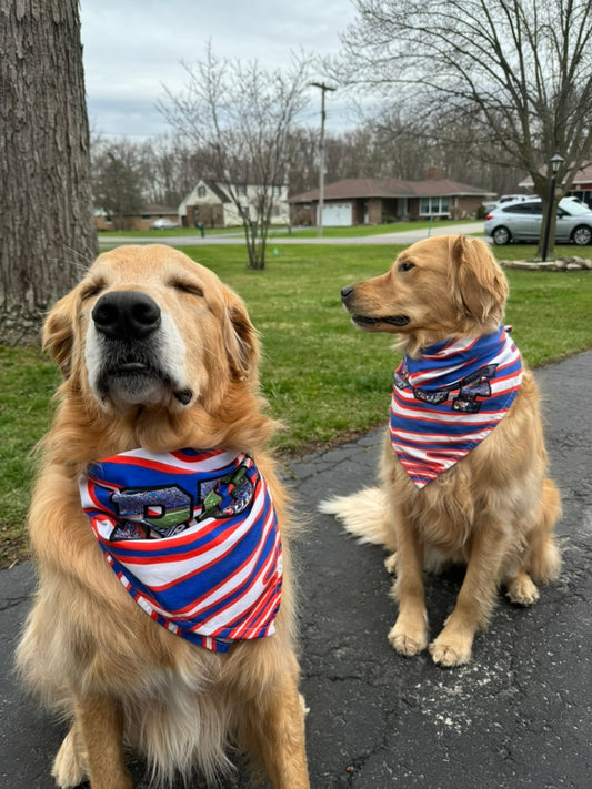 "View From the Ralph" Buffalo Royalty Pup Bandana