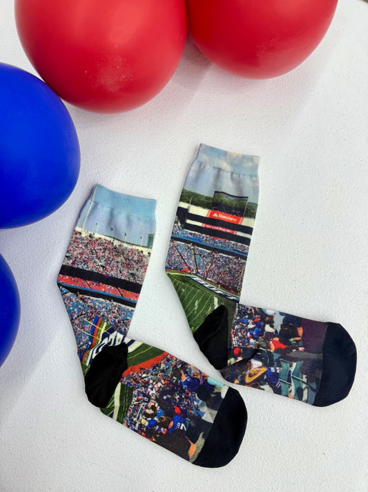 A "View From The Ralph" Socks