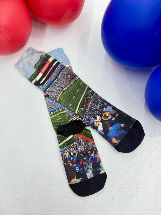A "View From The Ralph" Socks