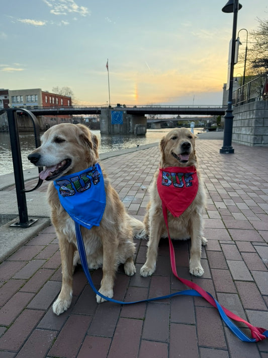 VFTR Blue Pup Bandana