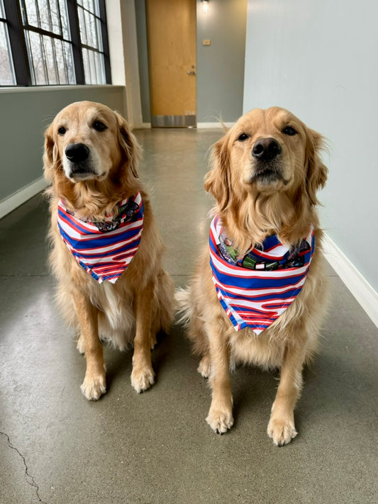 VFTR Buffalo Royalty Pup Bandana