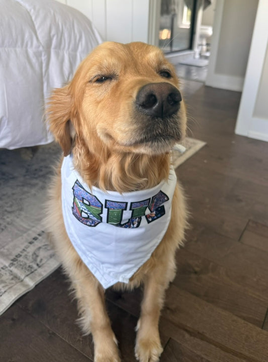 VFTR Gray Pup Bandana
